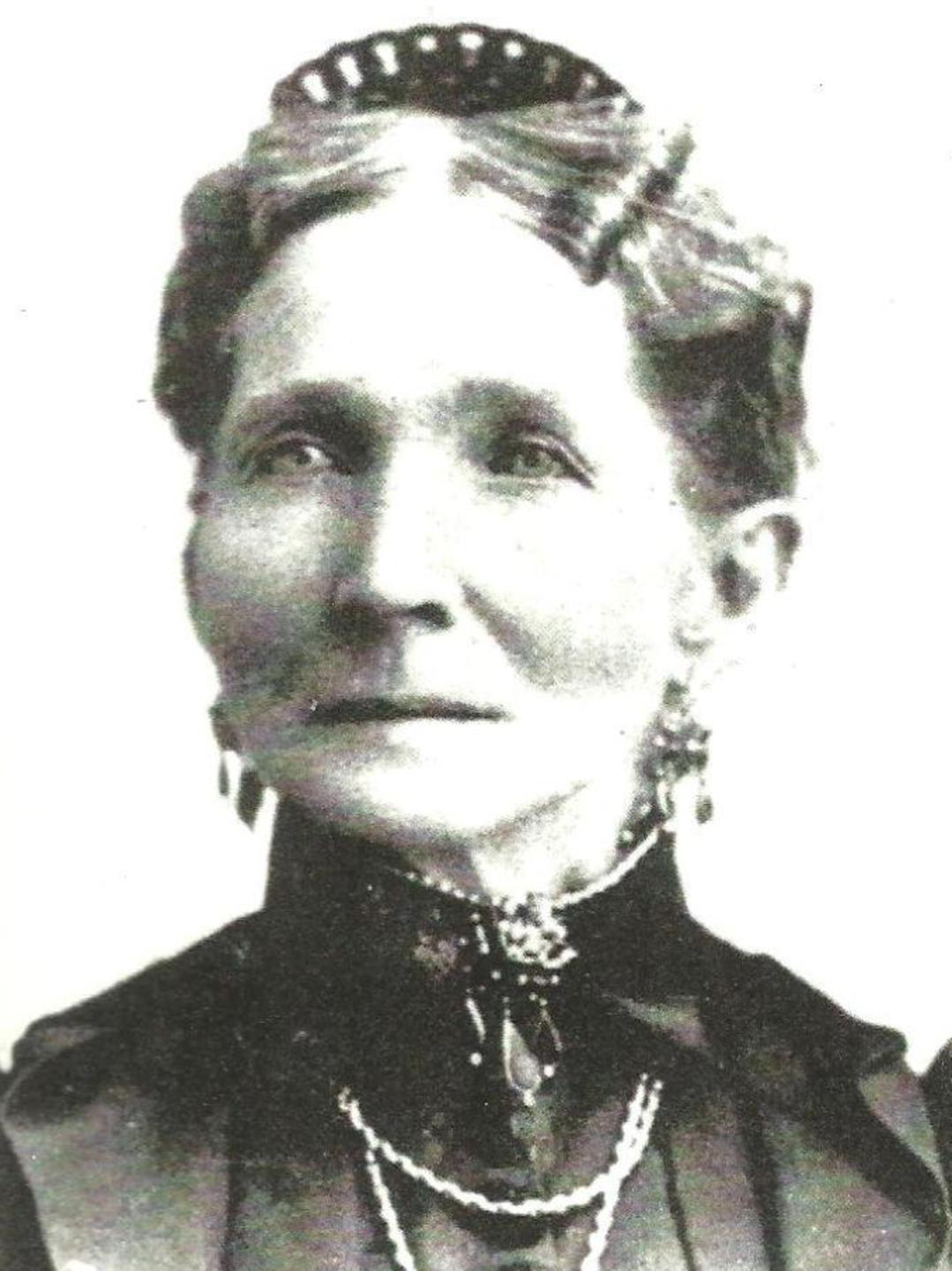 Diana Eliza Holbrook (1833 - 1906) Profile